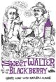 BULLY HILL SWEET WALTER BLACKBERRY 750ml
