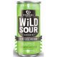 DESTIHL HERE GOES NOTHIN WILD SOUR 12OZ CANS 4PK