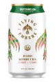 FLYING EMBER WATERMELON 12OZ CANS 6PK