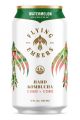 FLYING EMBER WATERMELON 12OZ CANS 6PK