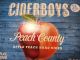 CIDERBOYS PEACH COUNTY 19.2 OZ 12PK CANS